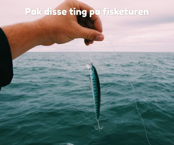 Pak disse ting på fisketuren