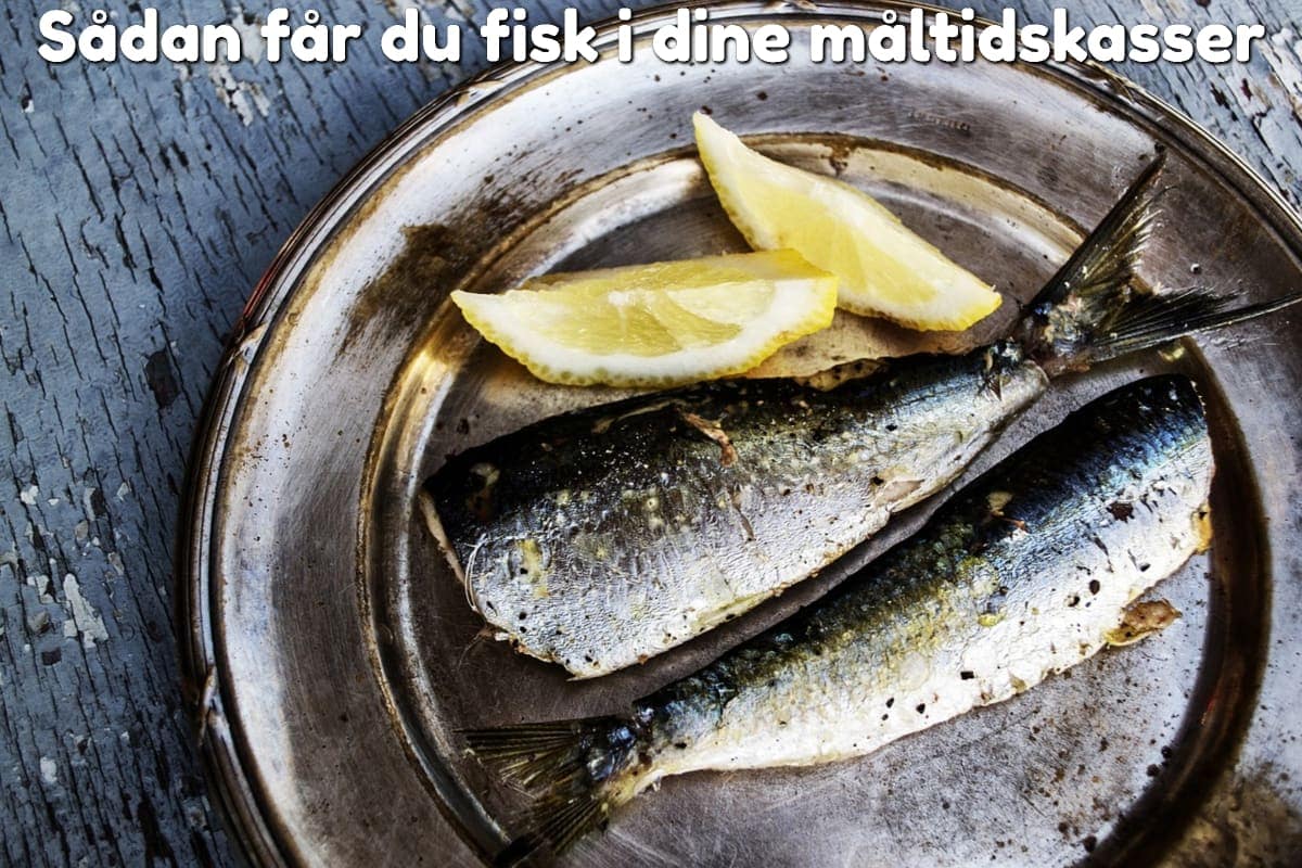 Sådan får du fisk i dine måltidskasser